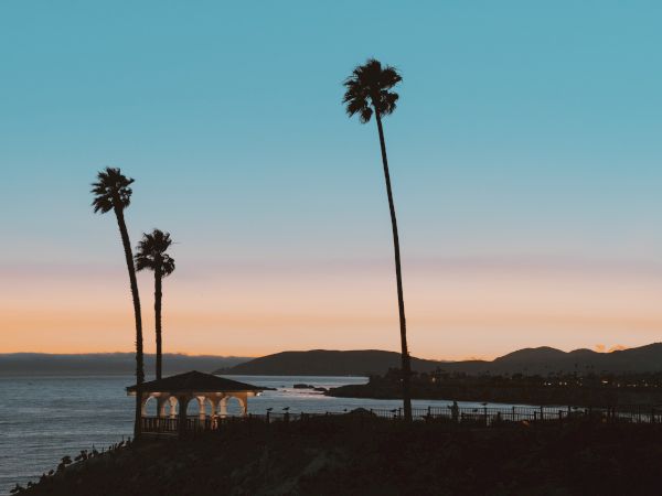A serene coastal scene at sunset with tall palm trees, calm water, a distant island, and a small shelter by the shore.