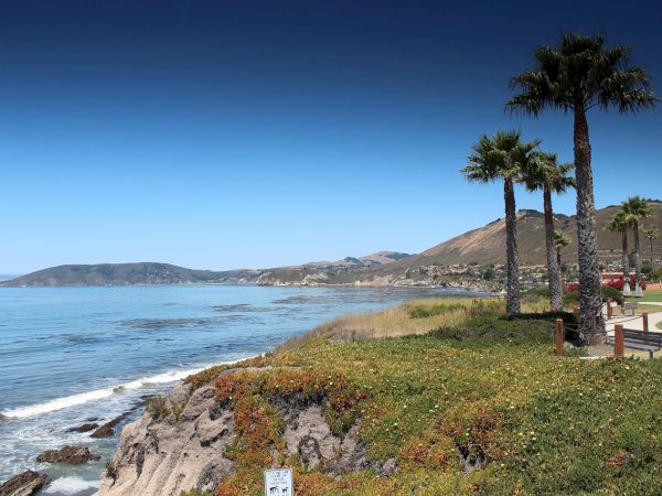 A sunny coastal scene with blue sea, rocky shoreline, palm trees, and a grassy promenade along the coast, hills in the distance, a calm day.