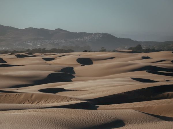 Desert dunes with wind-sculpted ridges under a clear sky, distant hills on the horizon.