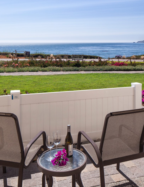 A sunny coastal patio with two chairs, a small table holding a bottle and a purple flower, a white fence, palm tree, and a bright ocean view beyond.