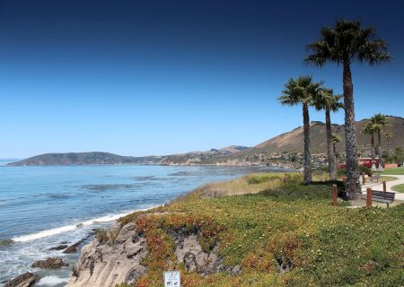 A coastal scene with a rocky shoreline, calm blue sea, clear sky, and palm trees along a grassy promenade by a few benches and distant hills, serene.