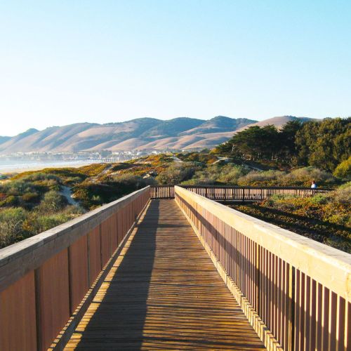 A wooden boardwalk extends toward rolling hills and coastline, flanked by railings, with blue sky and distant waves in a sunny scene.