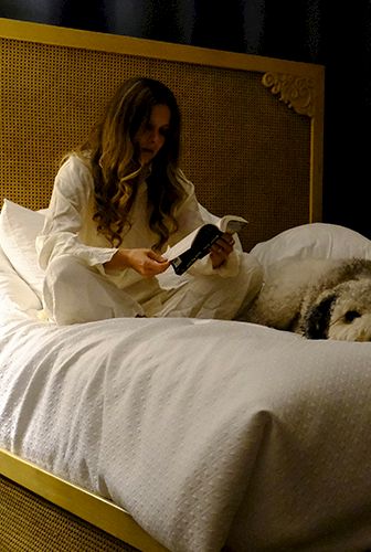 A woman sits on a bed reading a book with a dog lying beside her, cozy hotel room vibe.
